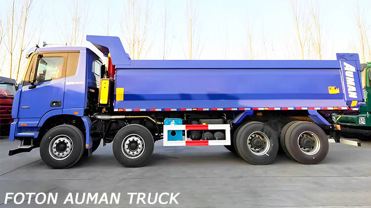 Foton GTL 12 Wheel Dumper Truck for Sale Price in Dominican